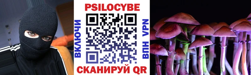 Псилоцибиновые грибы мицелий  Рубцовск 
